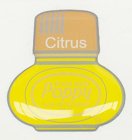 Klistermärke Poppy Grace Mate Citrus