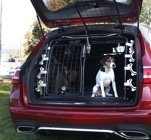 Artfex Hundgrind modell 1 Dubbeldörr