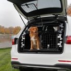 Artfex Hundgrind modell 2 Dubbeldörr