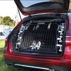 Artfex Hundgrind modell 1 Enkeldörr