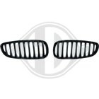 Kylargrill till BMW Z4 Roadster (E89)