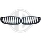 Kylargrill till BMW Z4 Roadster (E89)