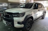 Huvskydd Toyota Hilux VIII Facelift 2020–