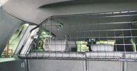 Artfex Lastgaller / Hundgaller Mercedes GLB X244 & X248 2026->