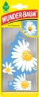 Doftgran Wunderbaum Daisy Flower