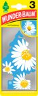 Doftgran Wunderbaum Daisy Flower 3Pack